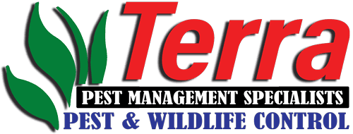 Terra Pest Management Specialists